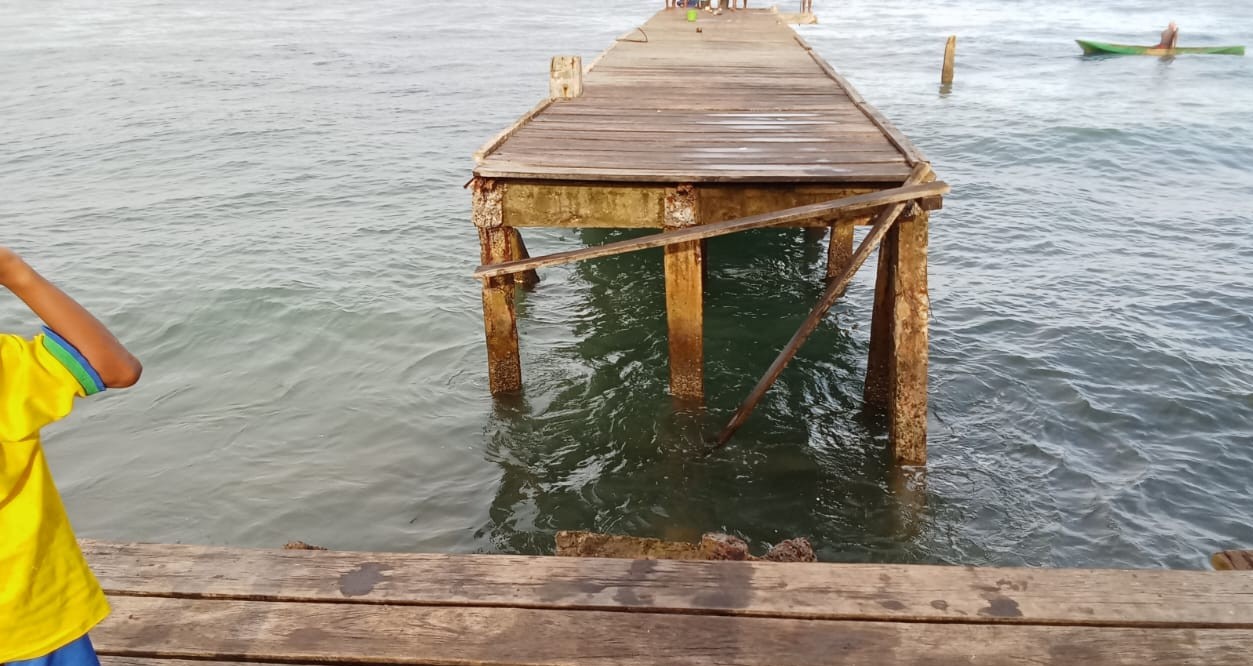 IMG-20250109-WA0046 (1)